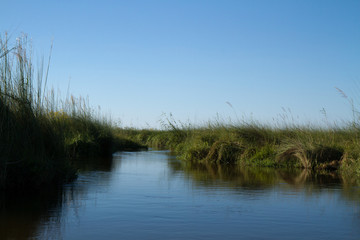 nature of the okavango delta in botswana