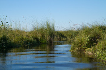 nature of the okavango delta in botswana