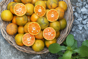 oranges in a basket