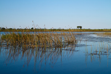 nature of the okavango delta in botswana