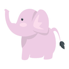 Baby elephant cartoon icon vector illustration graphic design