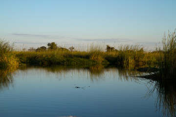 nature of the okavango delta in botswana