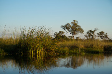 nature of the okavango delta in botswana
