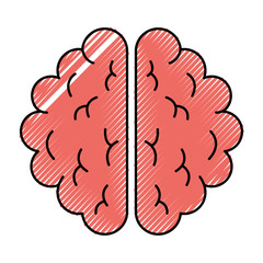 brain organ human icon vector illustration design