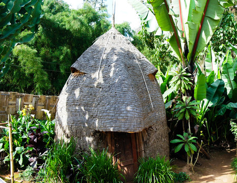 Traditional Dorze tribe house in Chencha, Ethiopia