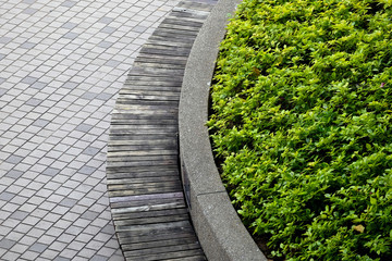 Fresh small green bush plant in park with wooden seat and pattern tile