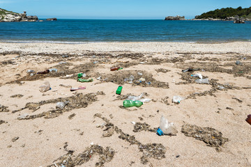 Fototapeta na wymiar Garbage Pollutions on Dirty Beach