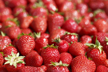 Strawberries on the market, Colorful photo of strawberries with defocused background, Selective focus with shallow depth of field