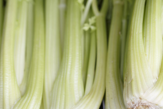 Celery on the market, Colorful photo of celery with defocused background, Selective focus with shallow depth of field