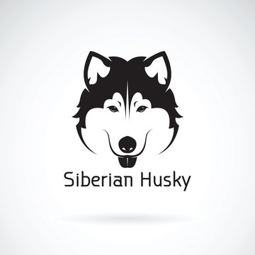 Vector of a dog siberian husky on white background. Pet
