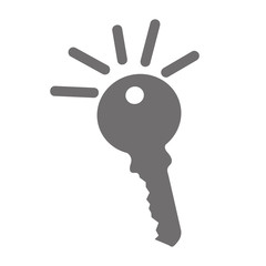key door isolated icon vector illustration design