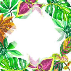 Tropical Hawaii leaves palm tree frame in a watercolor style isolated.