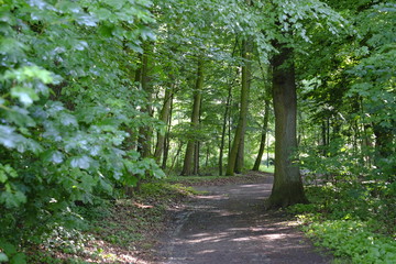 Klosterholz in Osterholz-Scharmbeck