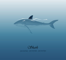 Sea background with a shark and a fin sticking out of the water, vector illustration