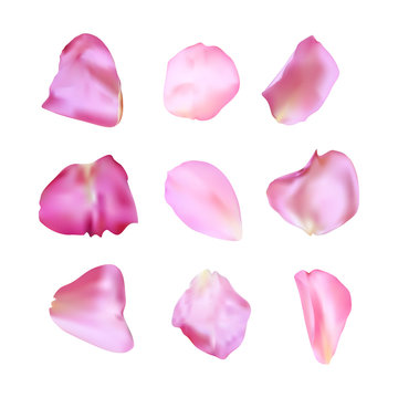 Pink rose petals set. Realistic vector