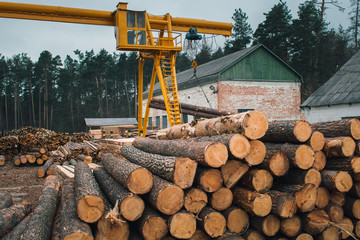 Wood logging, sorting, transportation and processing on sawmill - obrazy, fototapety, plakaty