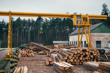 Wood logging, sorting, transportation and processing on sawmill - obrazy, fototapety, plakaty