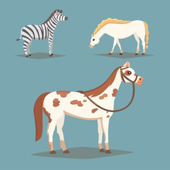 Collection of isolated horses. Cute cartoon horse farm animals. Differend breads
