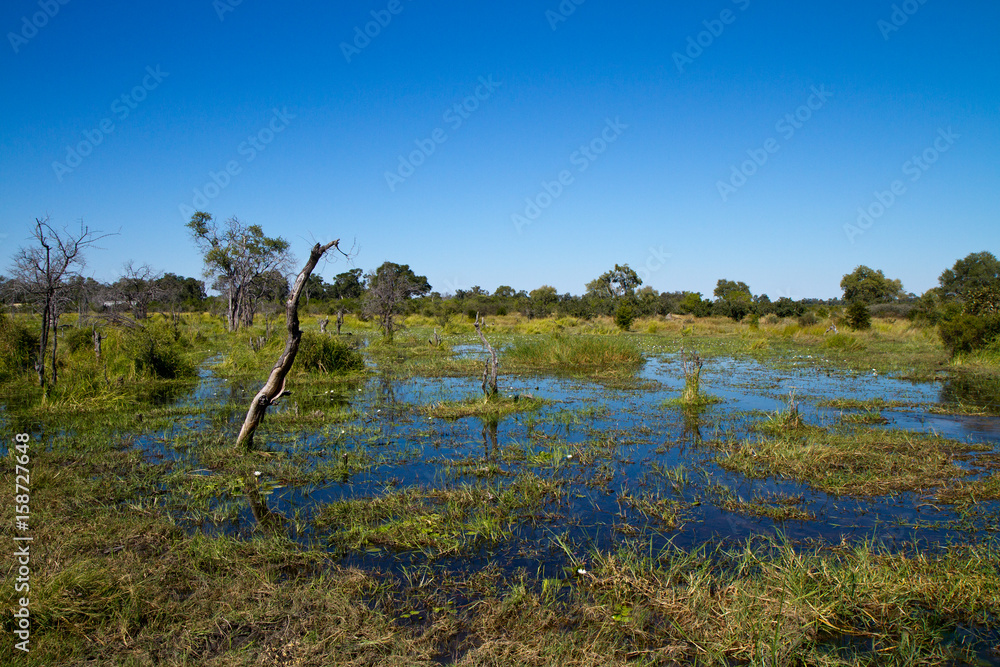 Sticker nature of the okavango delta in botswana