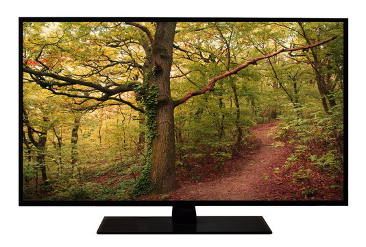 Fototapeta Modern blank flat screen TV set, LCD Television isolated on white background,4K display with picture of magic forest