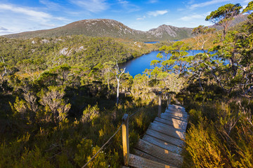 Stairs at Cradle Mountain. Elevated wooden steps with anti slip on nature trail to Lake Lilla, Dove...