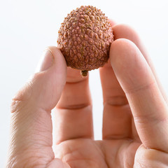 lychee in the man's hand