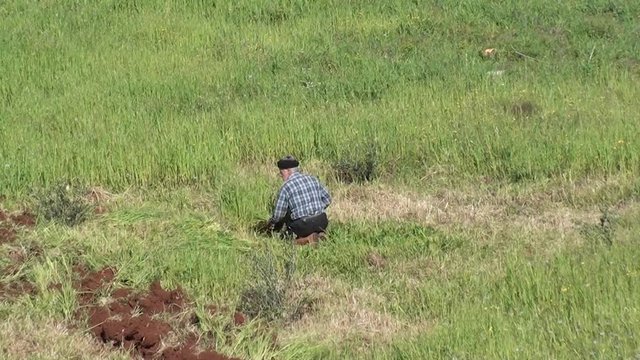 Man cutting grass, zoom in