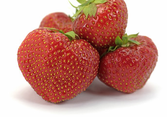 Erdbeeren, Fragaria, Strawberries