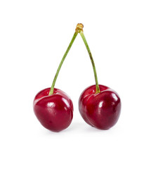 Two sweet cherries on branch