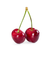 Two cherries isolated on white