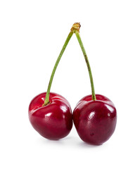 Two sweet cherries