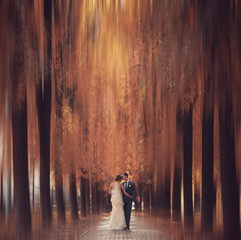 Newlyweds groom and bride walking in autumn park
