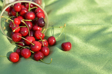 Jar of spilled just picked cherries on a green tablecloth 