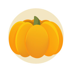 Vector illustration: orange pumpkin isolated or cucurbita flat styled icon.