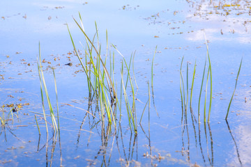 lake water surface