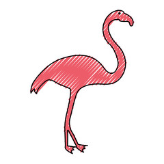 exotic flamingo silhouette icon vector illustration design