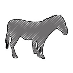 Fototapeta premium horse silhouette isolated icon vector illustration design