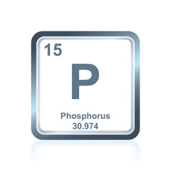 Chemical element phosphorus from the Periodic Table - obrazy, fototapety, plakaty