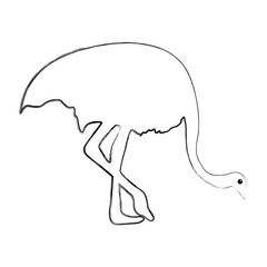 exotic flamingo silhouette icon vector illustration design