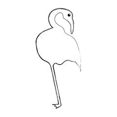 exotic flamingo silhouette icon vector illustration design
