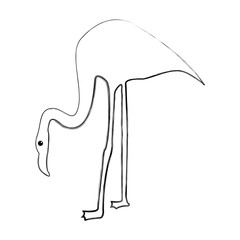 exotic flamingo silhouette icon vector illustration design
