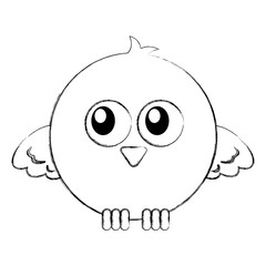 cute bird expression comic vector illustration design