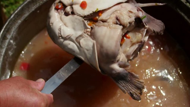 Traditional fish broth from Danube Delta