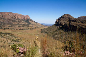 canyons of the marakele national park in south africa