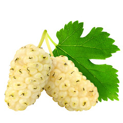 Fresh ripe white mulberry berries with leaves isolated on white background.