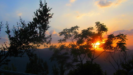 beautiful sunset, the sun hide behind the tree