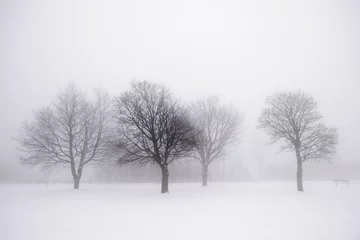 Cercles muraux Hiver Winter trees in fog