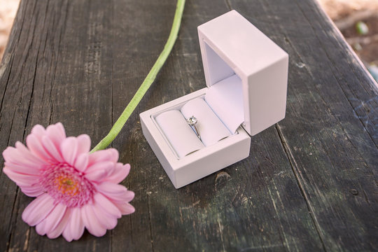 Will you merry me?