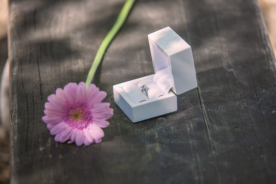 Will you merry me?