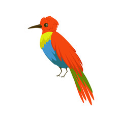 Colorful bee eater bird vector Illustration